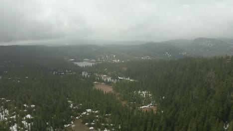 Drone-Flying-Above-Dense-Fir-Tree-Forest-In-Telemark,-Norway-On-A-Misty-Day