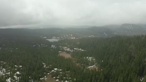 drone volando sobre un denso bosque de abetos en telemark, noruega en un día brumoso