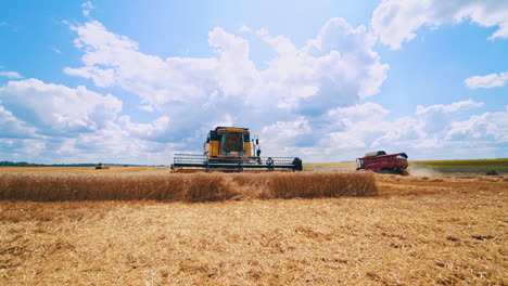 harvester agricultural machine. agricultural machine ride in the field of golden ripe wheat