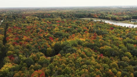 lush colors in early fall