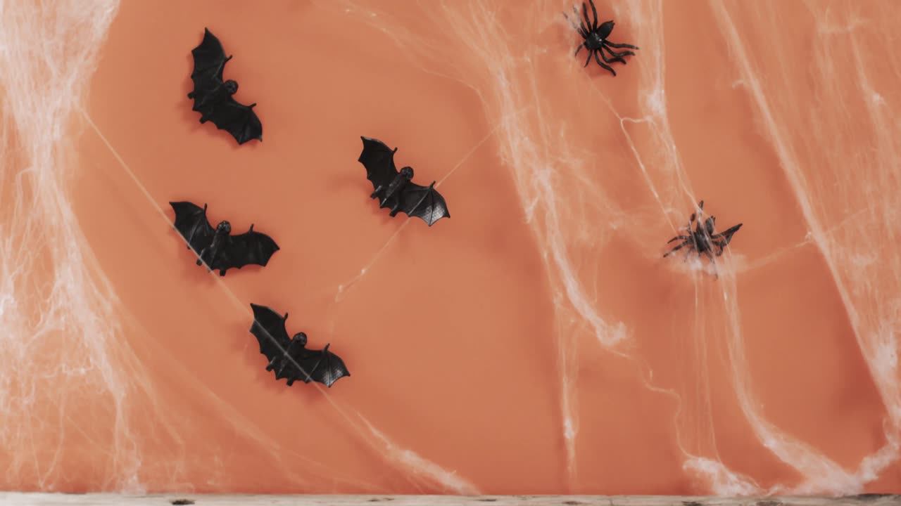 Video of halloween bats and spider's web and copy space on orange background
