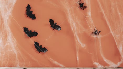 video de murciélagos de halloween y telaraña y copia de espacio en fondo naranja