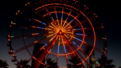 luces de la rueda gigante por la noche y palmeras