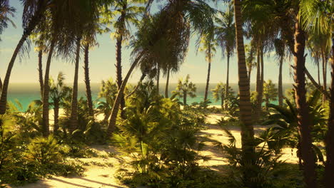 Tropical-Beach-with-white-sand-turquoise-water-and-palm-trees