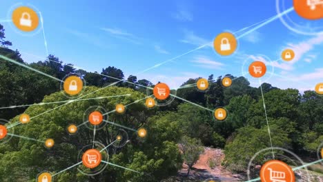 network of digital icons against aerial view of forest and blue sky