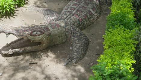 dos ardillas subiendo a una escultura de un cocodrilo