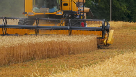 Process of gathering ripe crop from the fields. Combine harvester in action on wheat field. Selective focus.