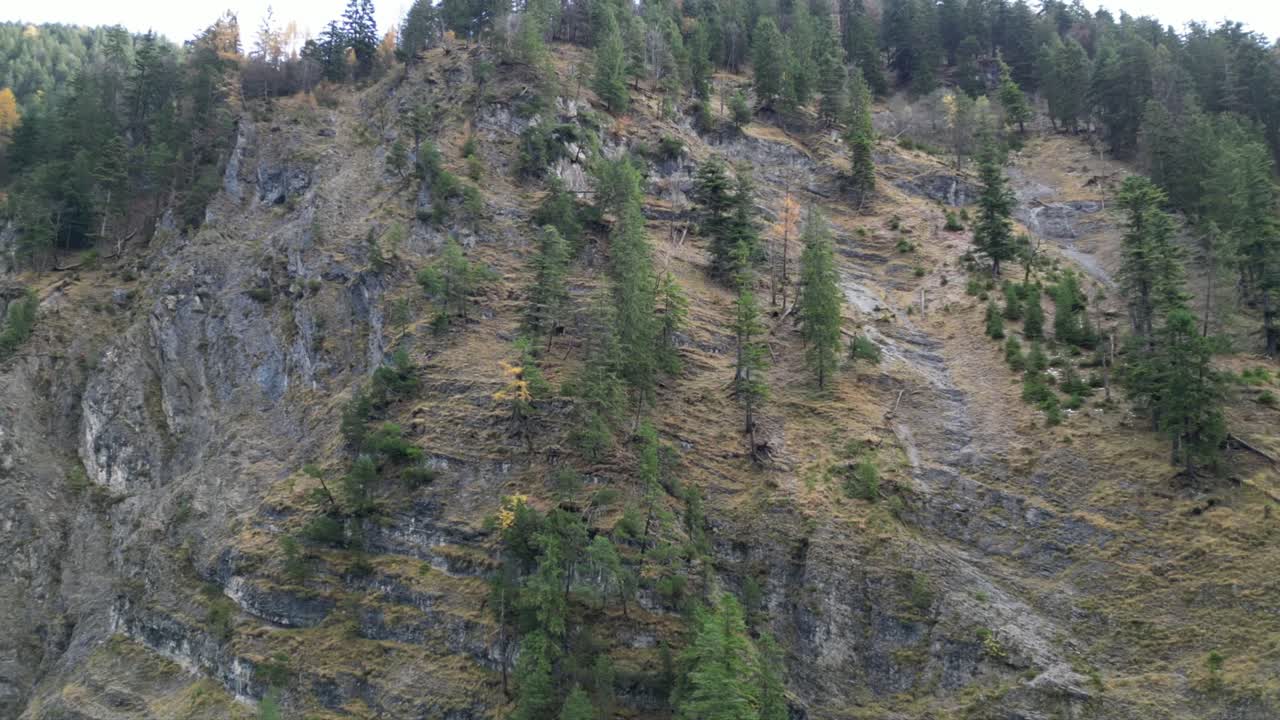 Steep Mountain Slope with Forest and Autumn Colors
