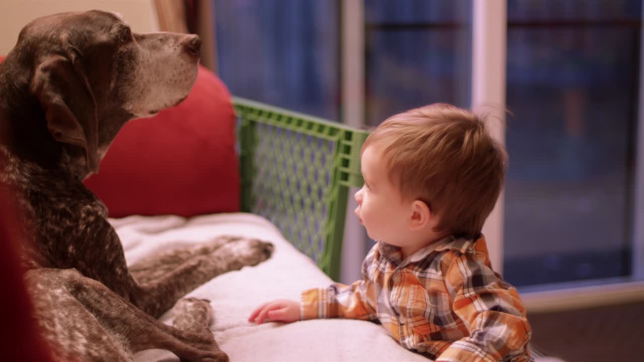 소파 에 앉아 있는 가족 개 를 는 작은 소년