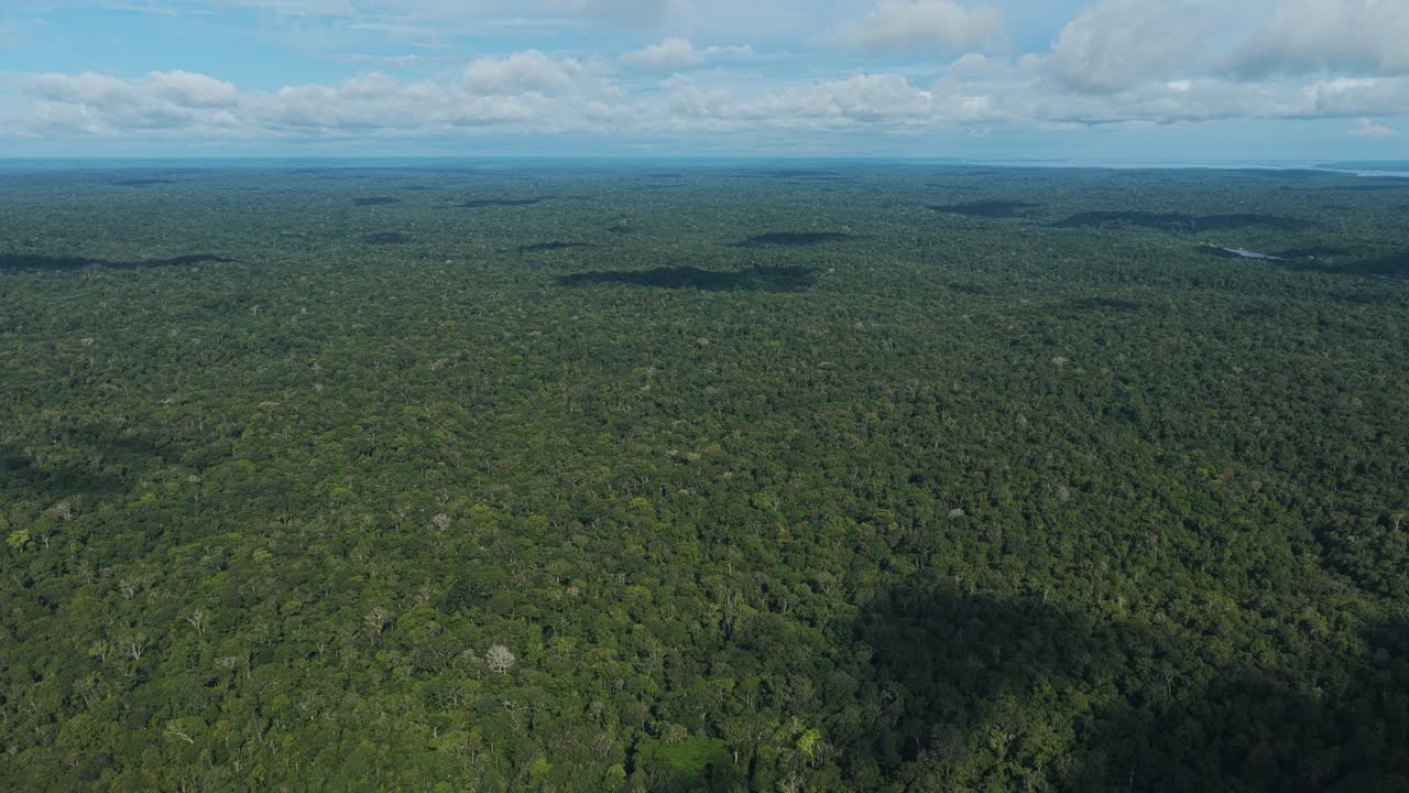 Vast amazon rainforest aerial view with clouds shadows and huge forest