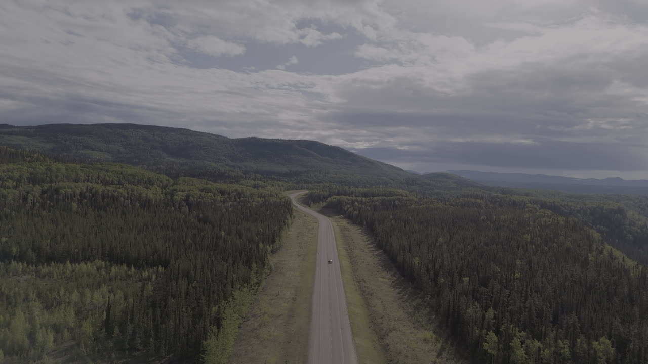 Scenic stretch of the Alaska Highway surrounded by forests.