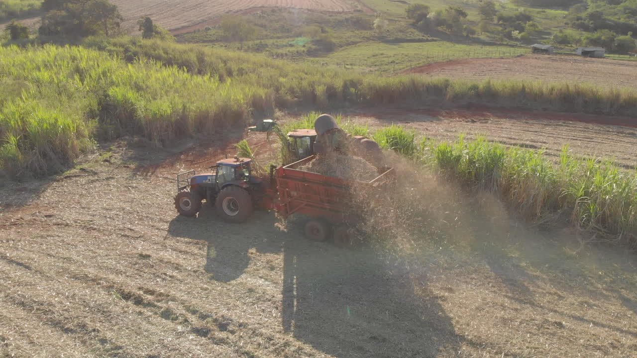 Sugar cane harvest in sunny day in Brazil - Aerial view