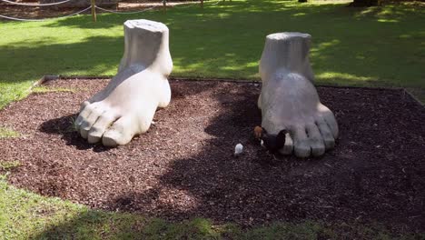 foot shaped sculpture with chicken running around in marechal carmona park, cascais, portugal