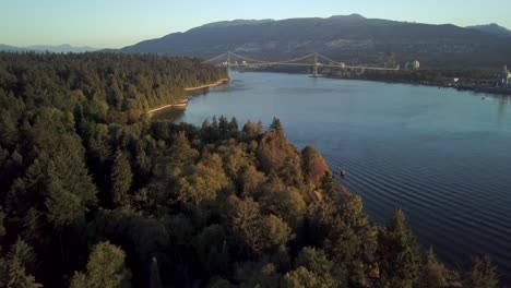 green forest at the stanley park overlooking the lions gate bridge over the burrard inlet in vancouver, canada