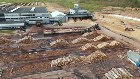 tractor loading birch tree logs by plywood factory