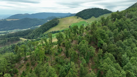 wooded mountain ridge in the swiss jura