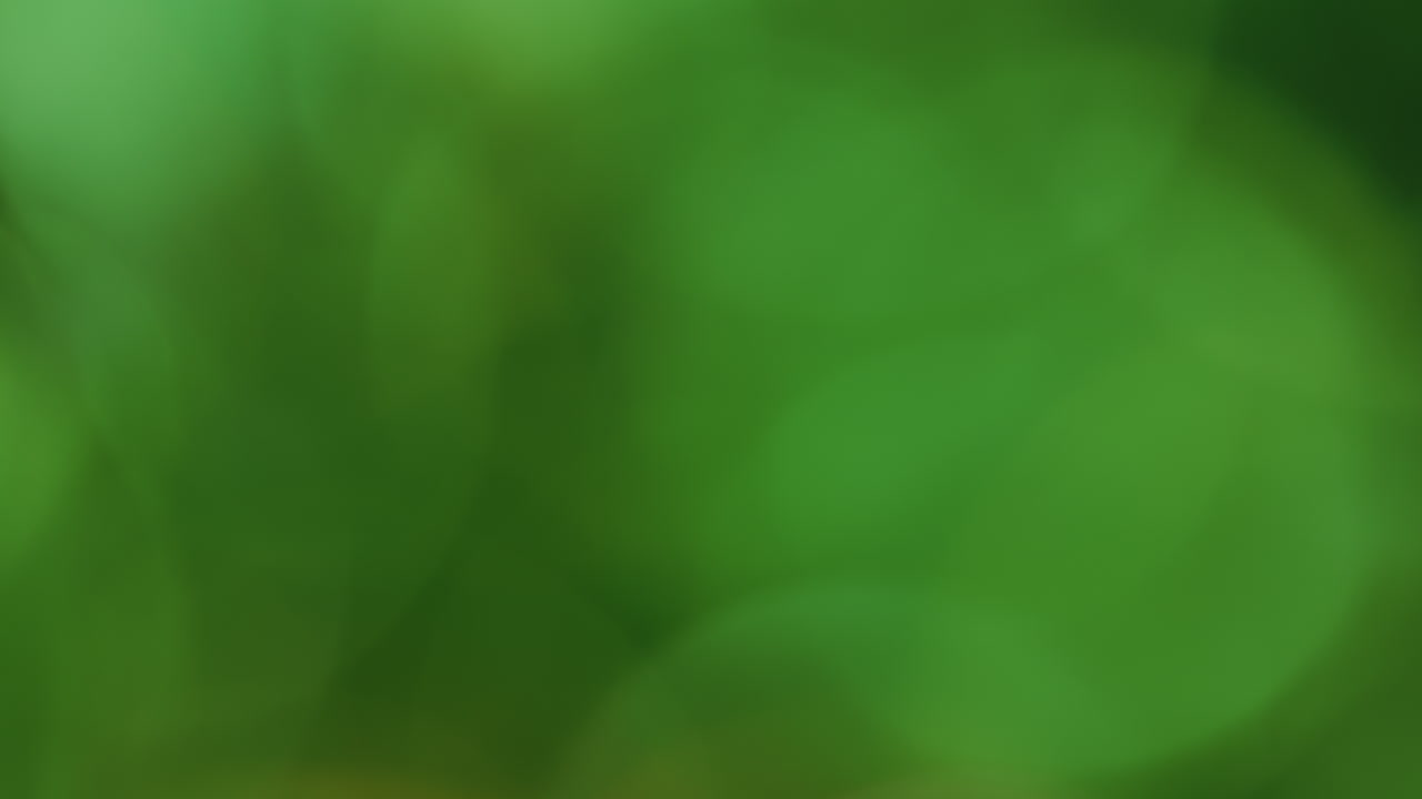 fugas de luz 4k imágenes lente resplandor llamarada bokeh superposiciones quemar desfocados rayos flash fondo de llama