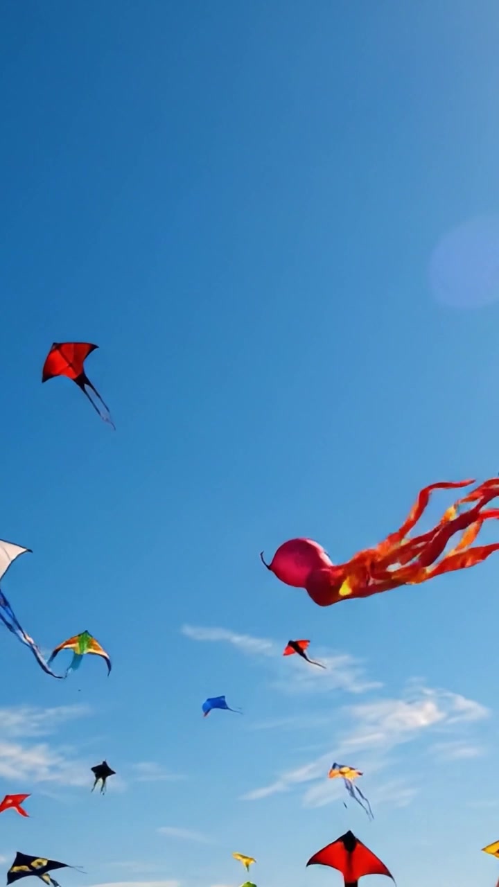 Una Vivace Esposizione di Aquiloni: Un Aquilone Arcobaleno Colorato si Libra Alto nel Cielo Azzurro Brillante Accanto a una Serie Impressionante di Aquiloni Unici Come un Polpo Giocoso
