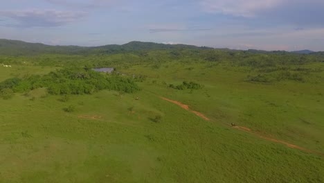 Drone-view-of-a-far-away-rider-galloping-a-horse-in-a-venezuelan-plain,-slow-motion