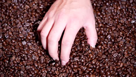 hand picking up coffee beans in slow motion hd