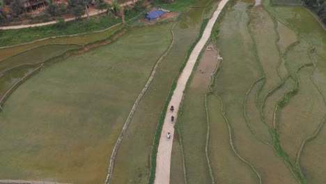 Motorbikes-driving-on-road-between-rice-paddies-Vietnam,-aerial