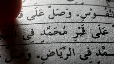 holy quran