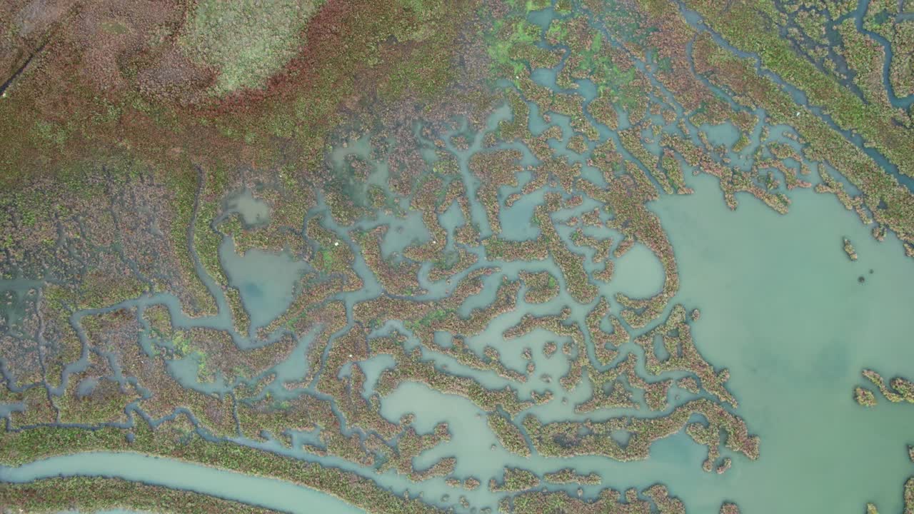 la laguna y el humedal del valle de comacchio, comacchio, italia, vista de arriba hacia abajo durante el día