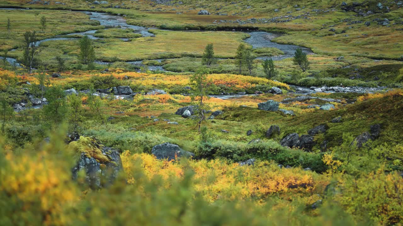 A shallow river meanders through the colorful autumn tundra landscape