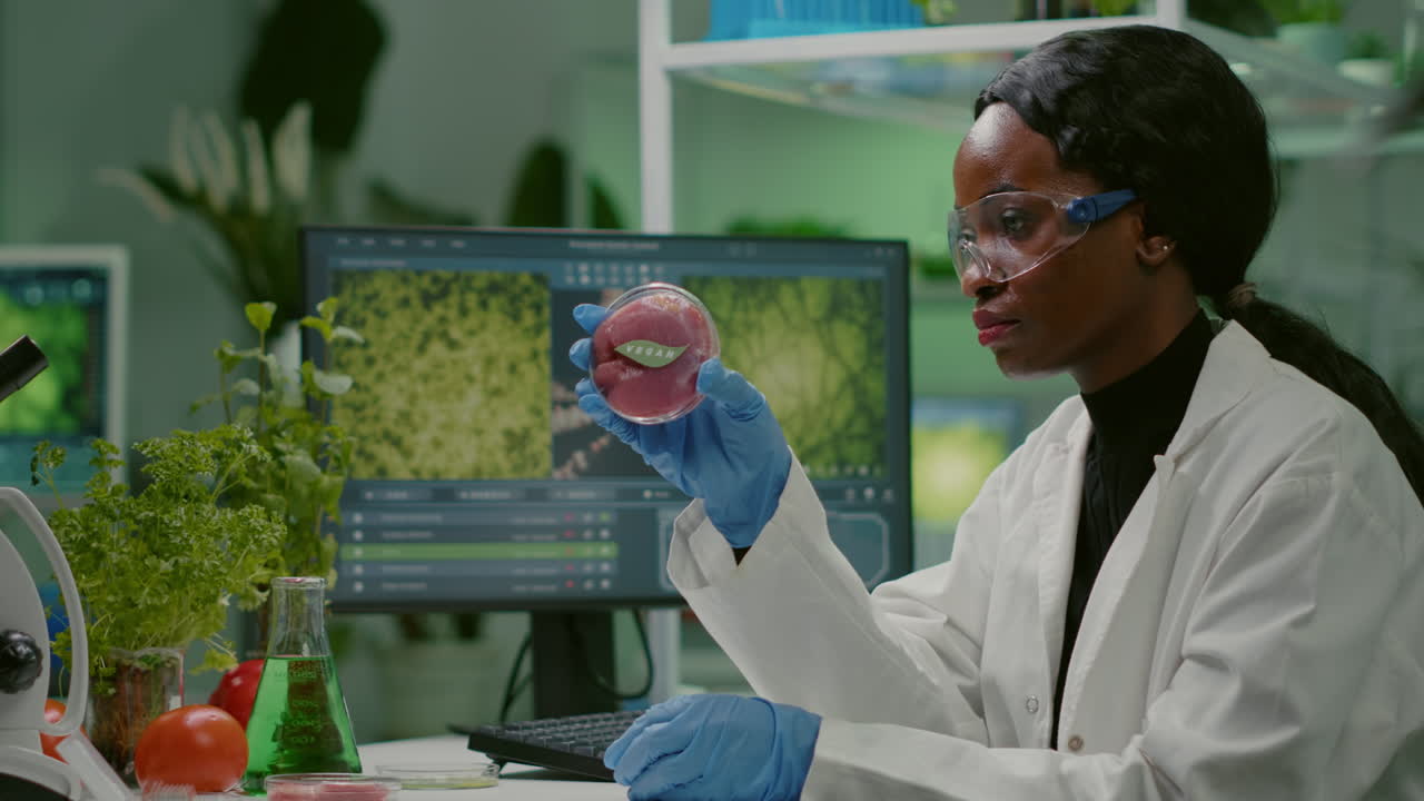 Chemist researcher typing microbiology expertise of vegan beef meat