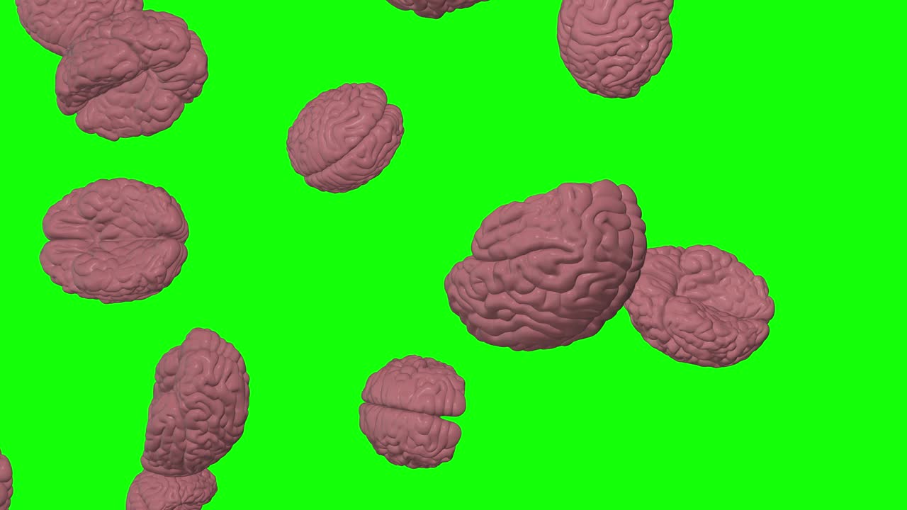 분홍색 인간의 뇌가 떨어지는 비 천재 지능 녹색 스크린 3d 애니메이션 크로마 키