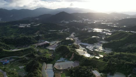 general landscape view of the brinchang district within the cameron highlands area of malaysia