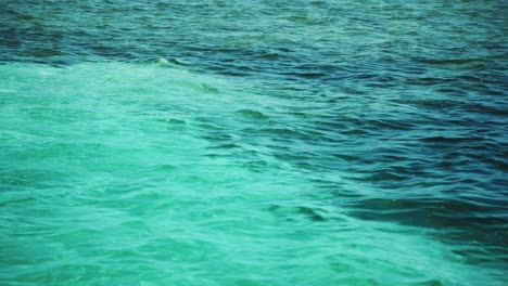 aguas serenas con línea de mosca, refugio de pesca de las bahamas