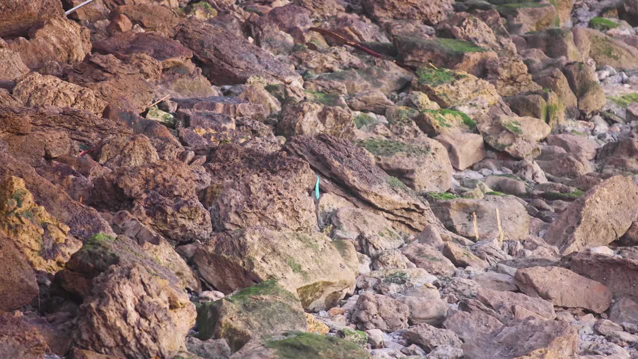 해변 근처의 아름답고  ⁇ 은 일출에 바위에서  ⁇