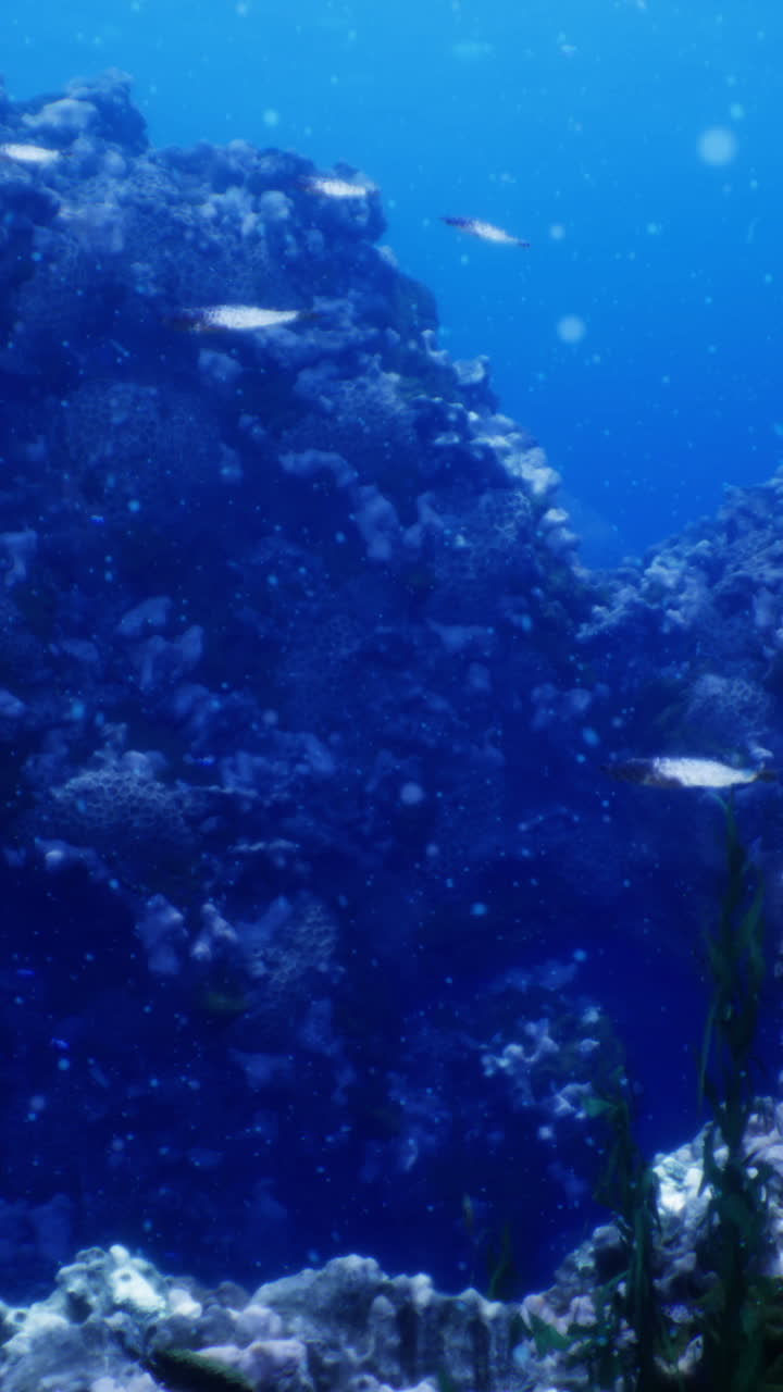 Ecossistema de recife de coral repleto de vida marinha em um mundo subaquático tropical