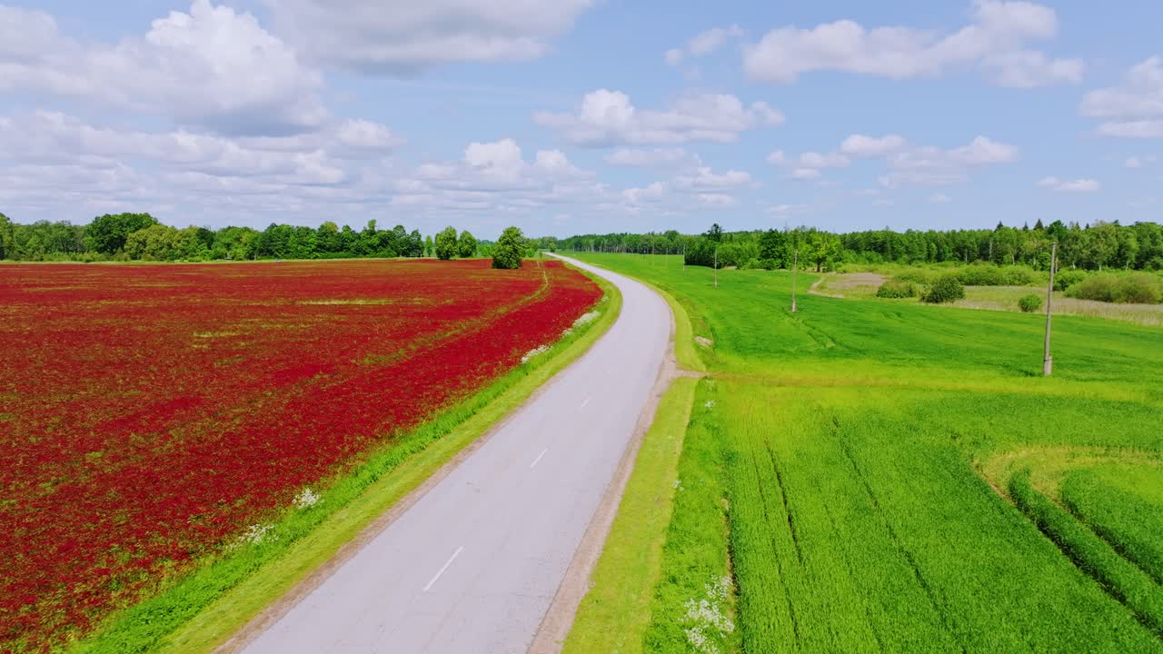 Aerial view shows contrast between red clover bloom and green crops in Latvia