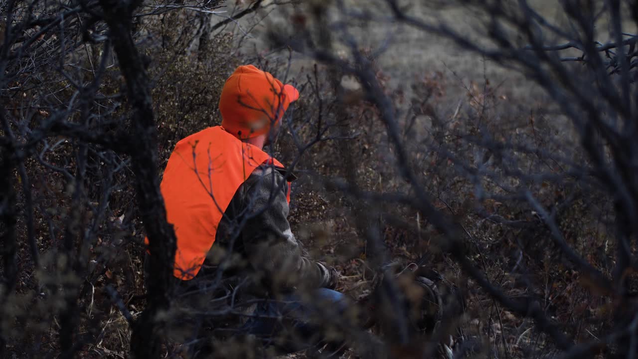 Hunter in orange waits in the brush for an animal