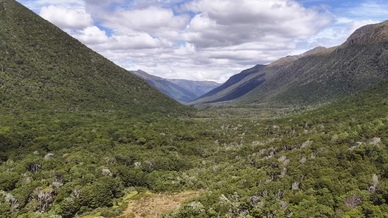 Drone footage of a narrow hiking trail winding through a lush green mountain valley under dramatic cloudy skies in New Zealand South Island.