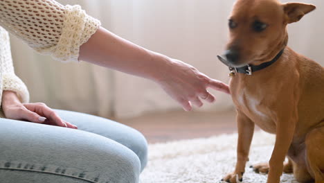 vrouw geknield op het tapijt op de vloer van de woonkamer