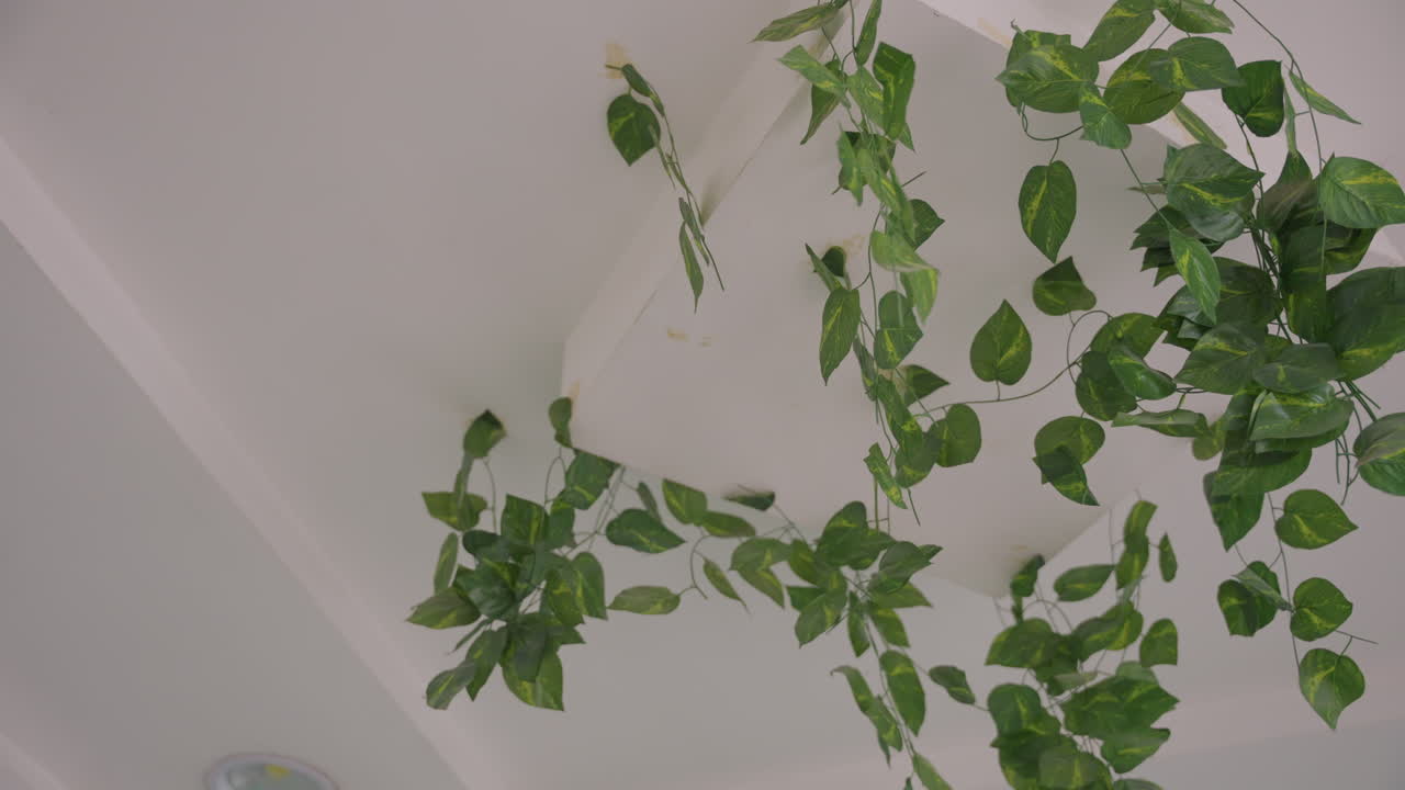 Spazio luminoso con rigogliosa vegetazione pendente. La morbida illuminazione mattutina esalta un interno moderno con decorazioni naturali. Piante pensili baciate dal sole aggiungono freschezza a un intimo spazio da pranzo interno.