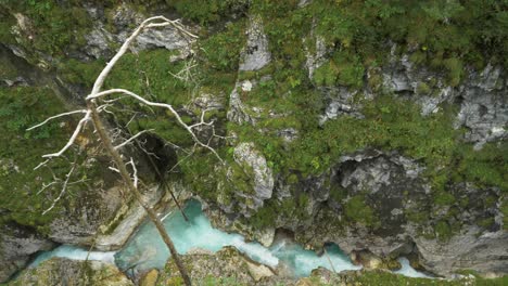 Überkopfaufnahme-Der-Flussschlucht-Mit-Kristallklarem-Wasser