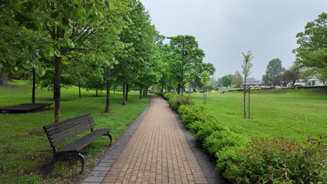 Walking-in-the-public-Park-Hungary