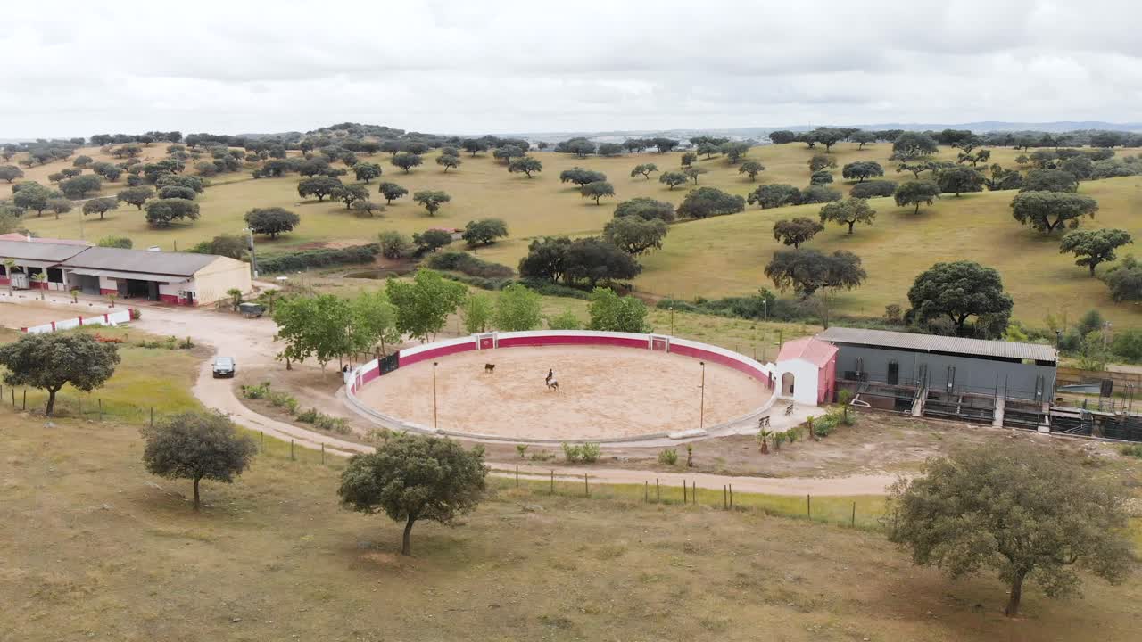 imágenes de drones de un hombre sobre un caballo entrenando en una plaza de toros