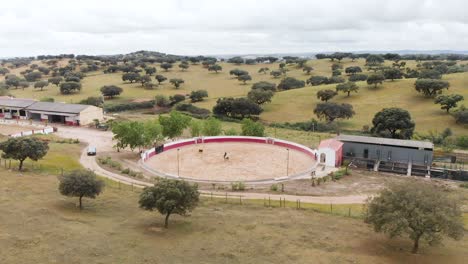 drone footage of a man on a horse training on a bullring