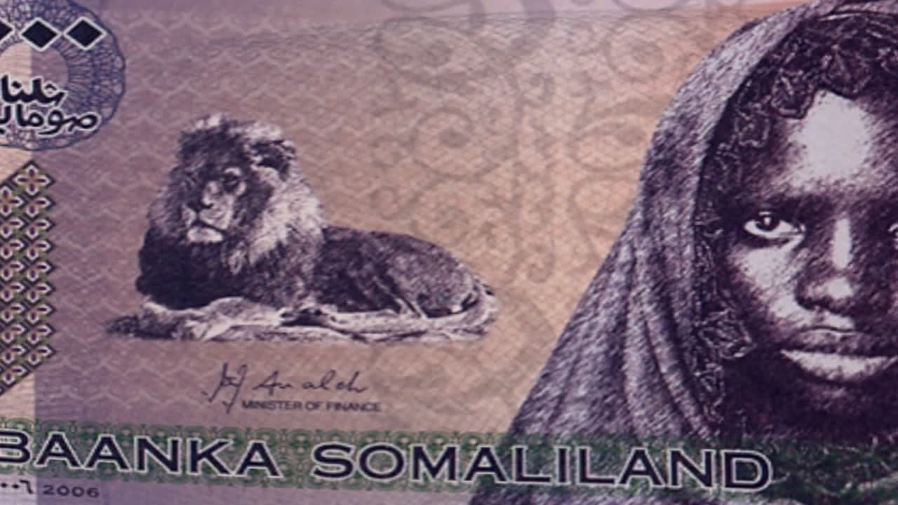 Banknotes featuring shillings and Somaliland currency with animals and a woman