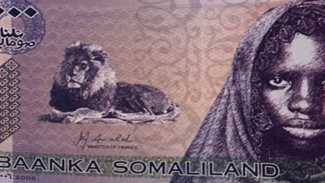 banknotes featuring shillings and somaliland currency with animals and a woman