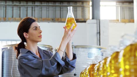 worker examining olive oil