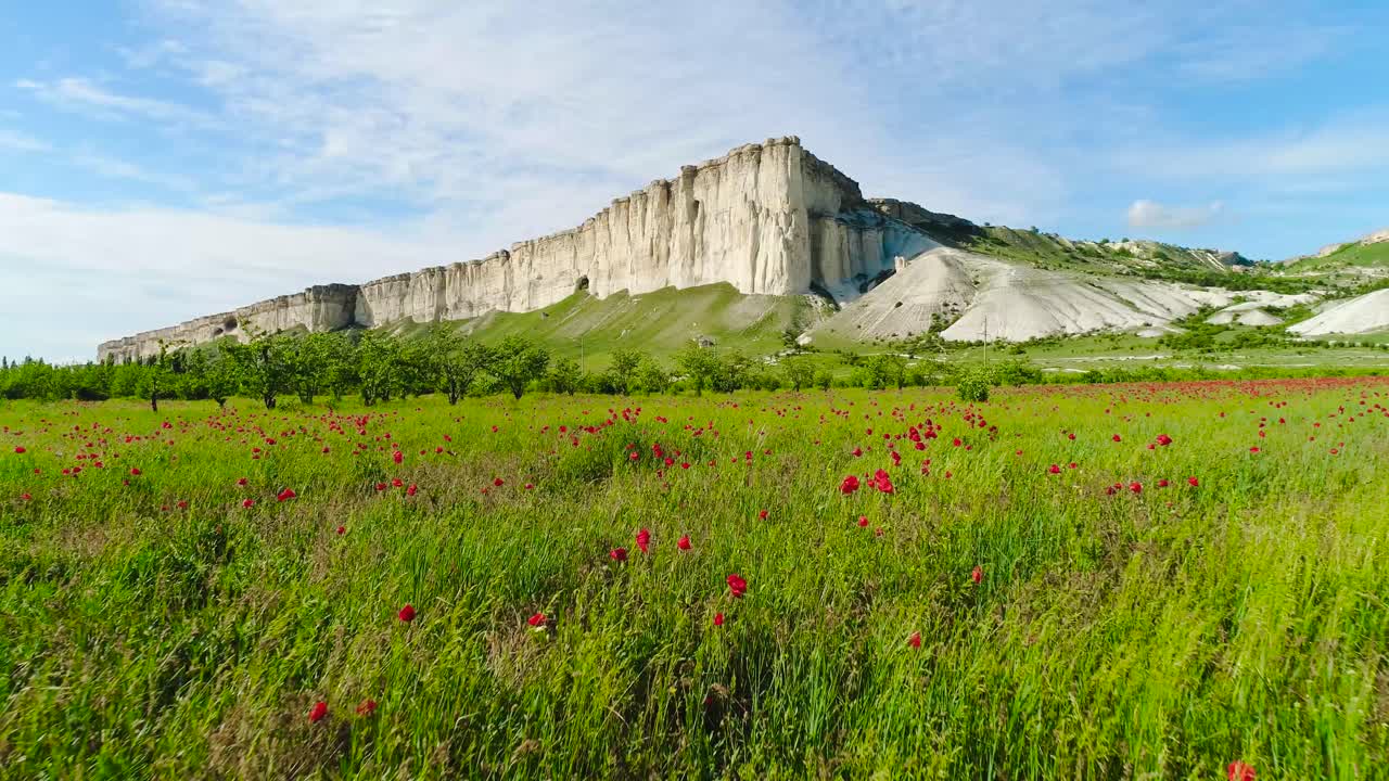 белые скалы и поле мака