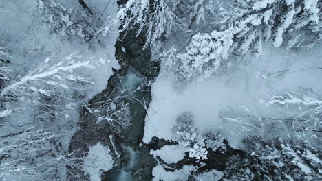 Toma-De-Drones-De-4.000-Metros:-Río-Helado-Que-Fluye-A-Través-De-Un-Bosque-Nevado-En-Los-Alpes-Austriacos