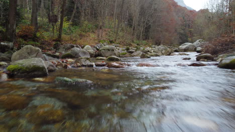 flusso d'acqua del fiume nella foresta di montagna alla vista aerea del fogliame autunnale