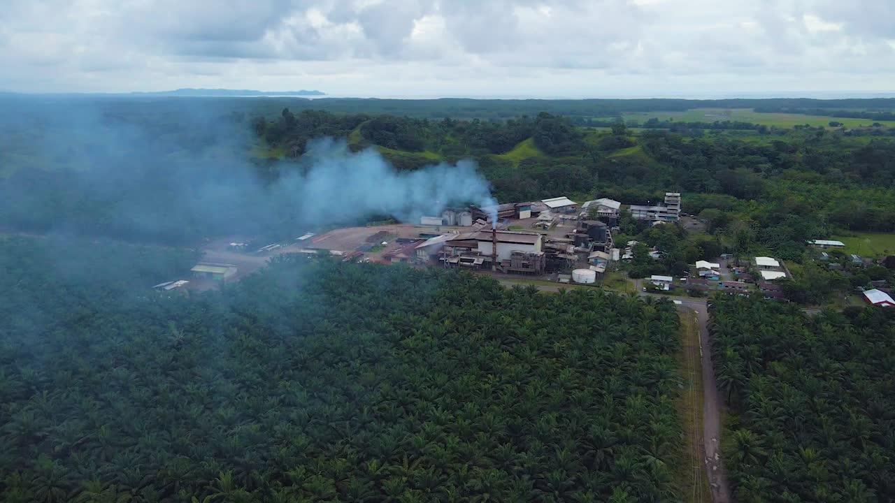 la chimenea humeante de la fábrica de procesamiento en medio de una plantación de palma